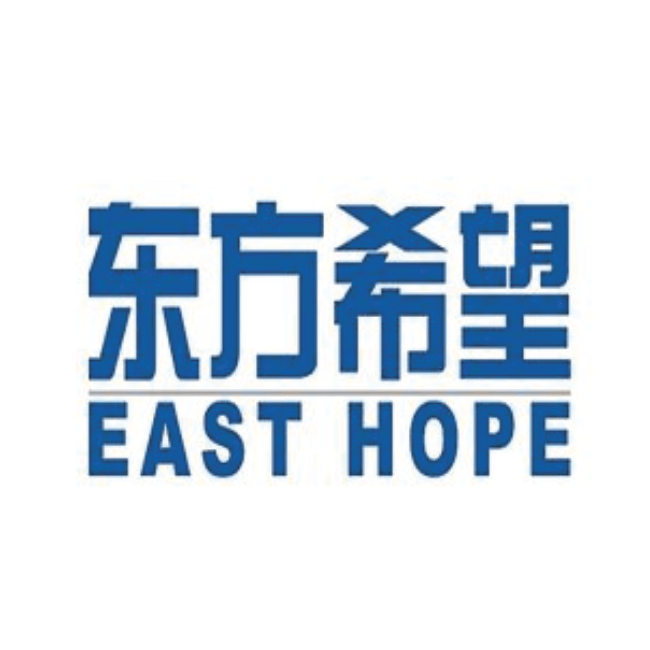 Eastern Hope Group: Cross-border business platform