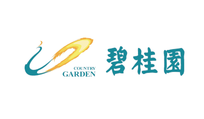Country Garden: Financial Shared Service in Real Estate