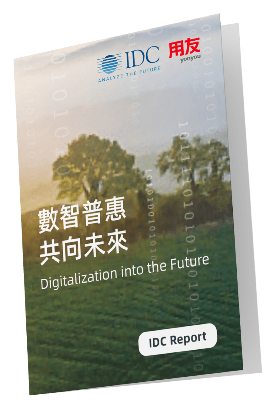 2022 Yonyou IDC Whitepaper 用友白皮書-01
