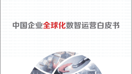 globalization_whitepaper_cover