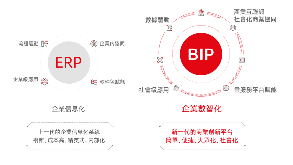 yonbip_structure_bg yonbip_structure_bg2