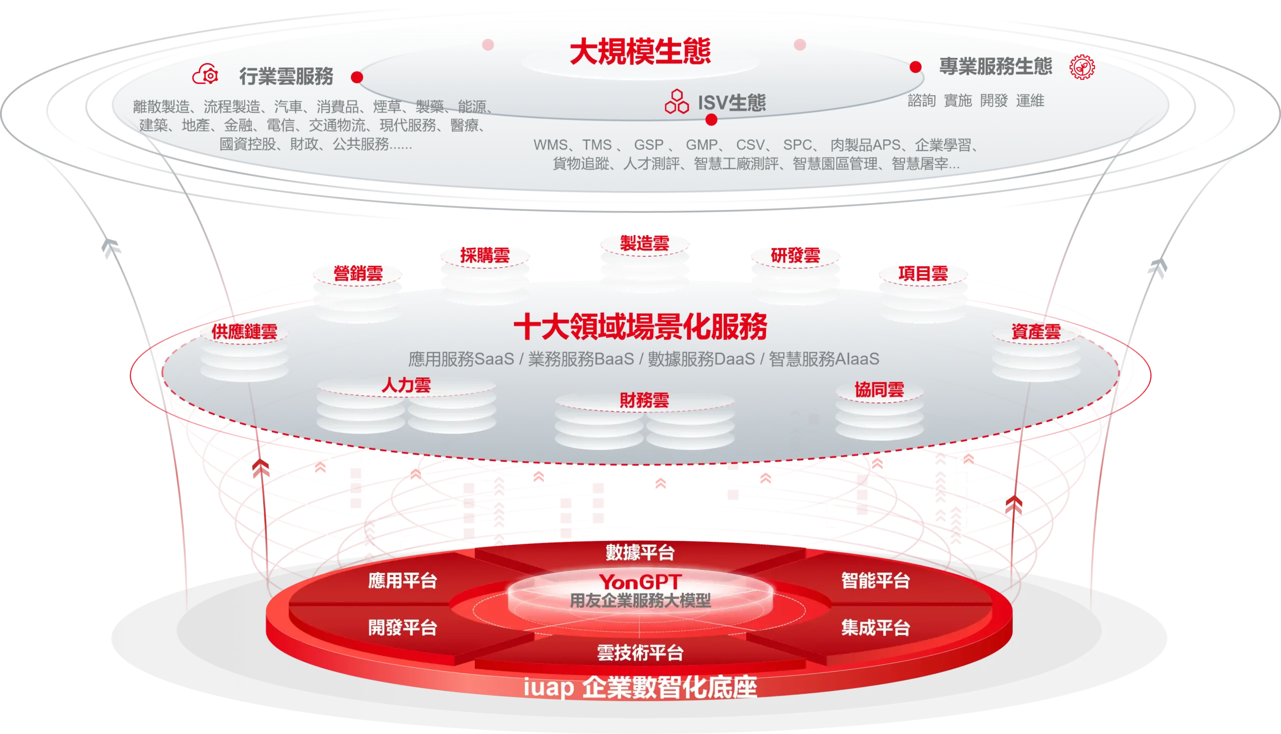 YonBIP Structure - TC
